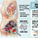 宇都宮整体MOVE lab 症状改善イメージ